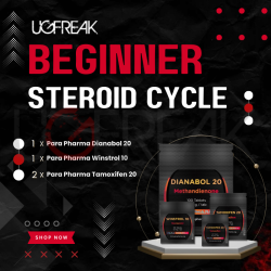 Beginner Steroid Cycle